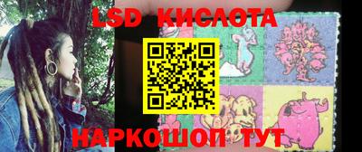 PSILOCYBIN Нальчик