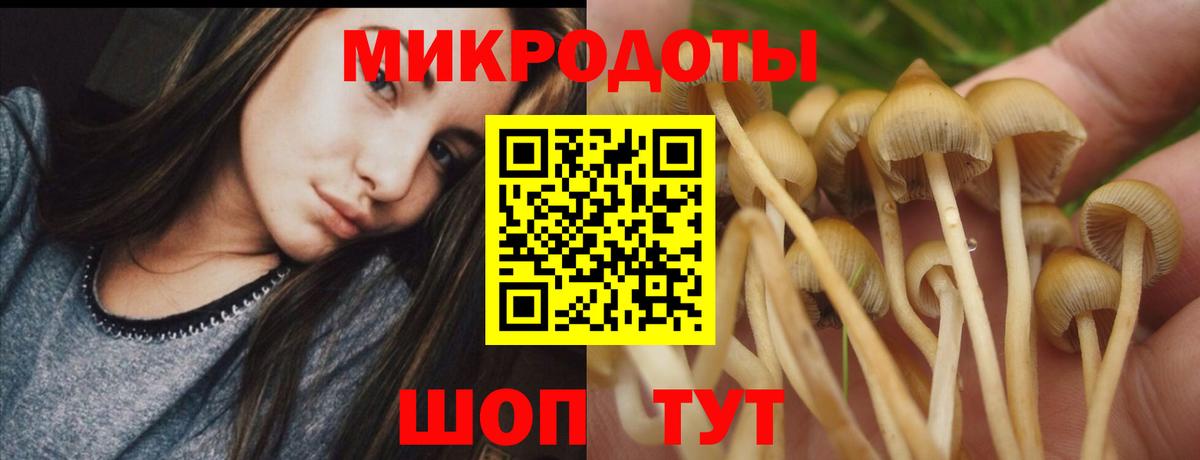 Чусовой  Галлюциногенные грибы Magic Shrooms  Вход с VPN 