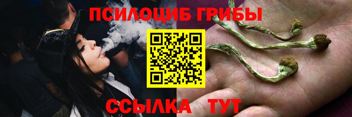 Псилоцибиновые грибы MAGIC MUSHROOMS Чусовой