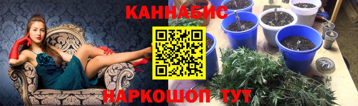 Канабис индика Чусовой