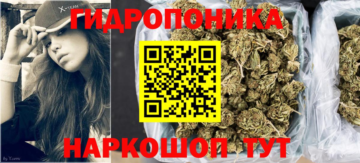 Шишки марихуана Bruce Banner  Вход с VPN  Бошки марихуана ГИДРОПОН  Каннабис VHQ  Чусовой  Марихуана индика 